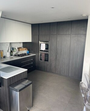 Fridge, microwave, oven, stovetop - Riverside penthouse in West London (London)