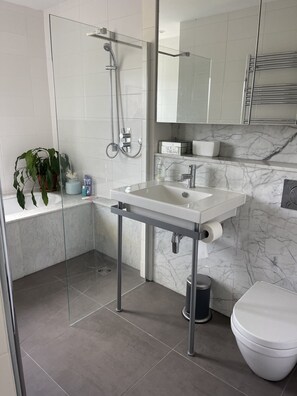 Hair dryer, towels, soap, shampoo - Riverside penthouse in West London (London)