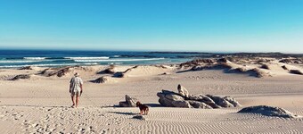 Cozy vacation home with veranda and pool, 250 m from the sea and penguins!