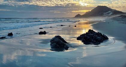 Cozy vacation home with veranda and pool, 250 m from the sea and penguins!