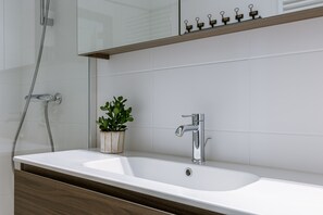 Apartament | 2 dormitoris, escriptori i Internet 