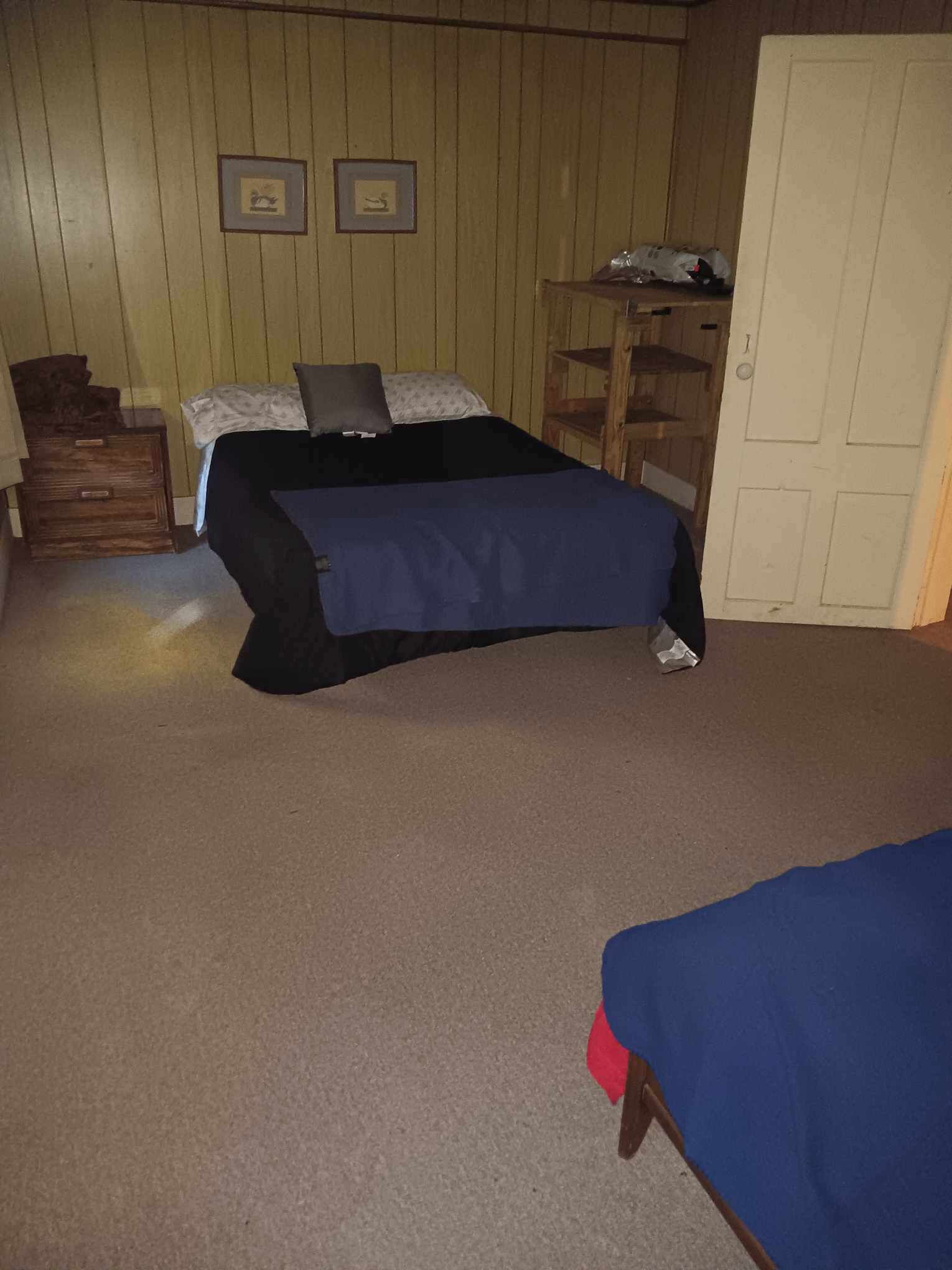 A bedroom with a bed, a wooden dresser, a nightstand, and a door.