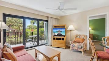 Télévision, lecteur de DVD, espaces bureaux