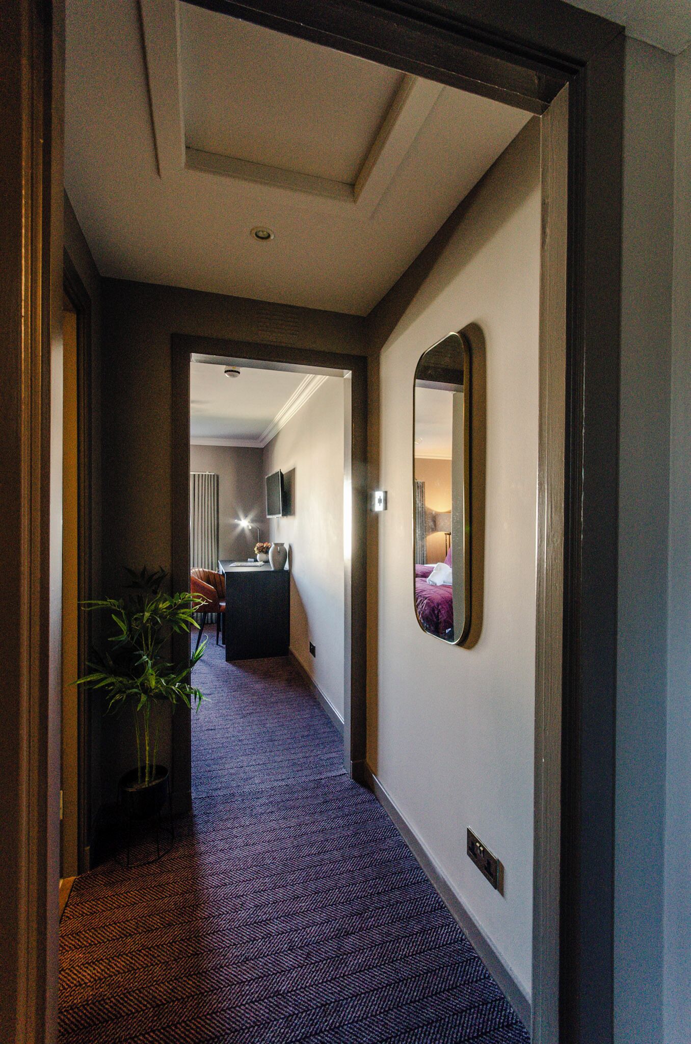 A hotel hallway with a carpeted floor, a potted plant, a desk with a chair, a bed, and a mounted television.