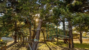 Actividades infantiles