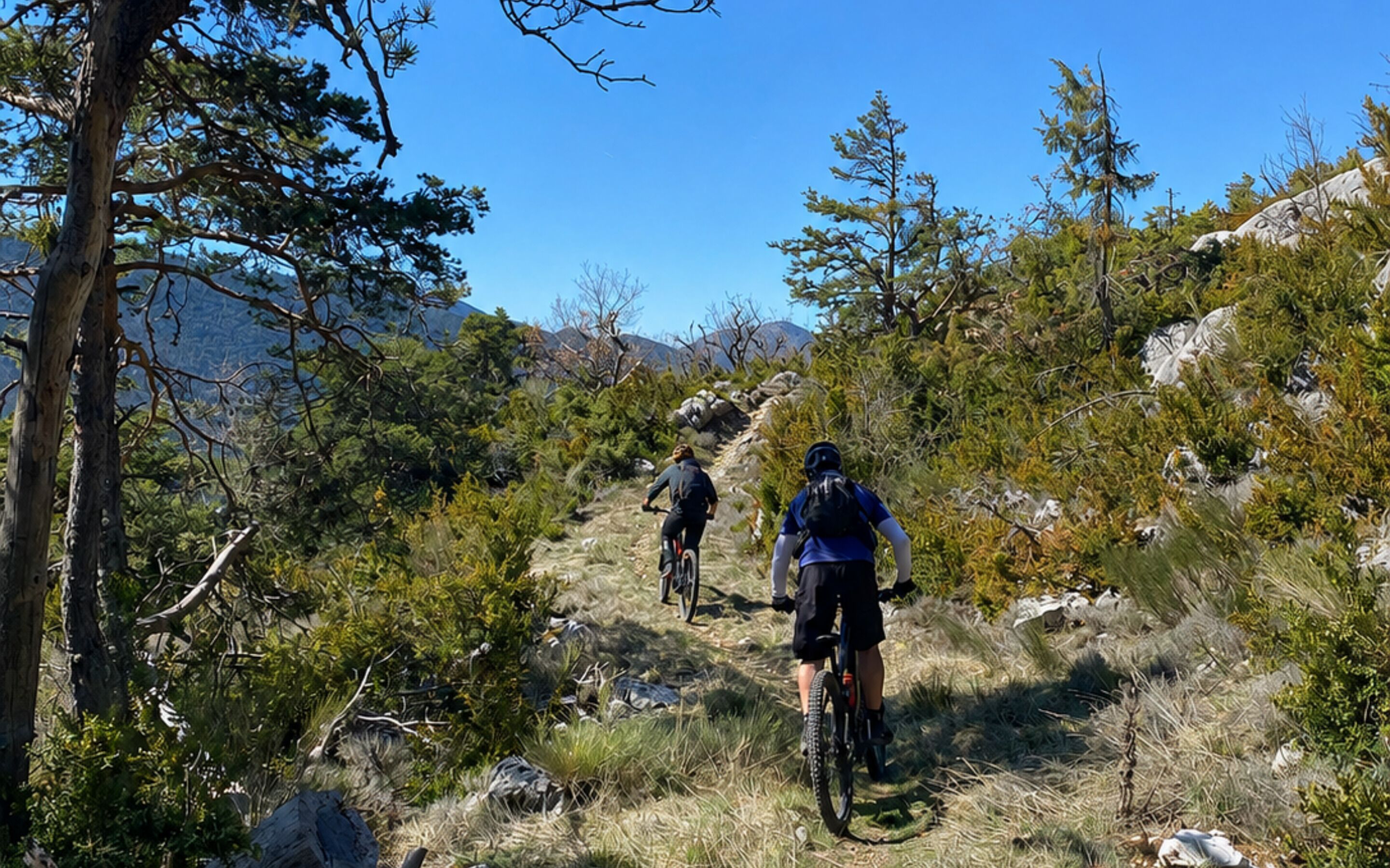 Deux cyclistes sur un sentier de montagne, entourés d’arbres et d’un paysage rocheux.