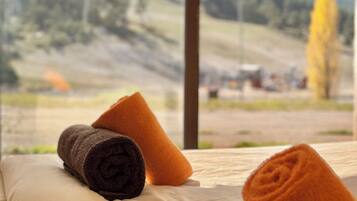 Standard Twin Room, Balcony, Mountain View | In-room safe, blackout drapes, soundproofing, iron/ironing board