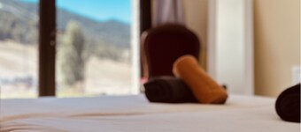 Auberge Alpina
