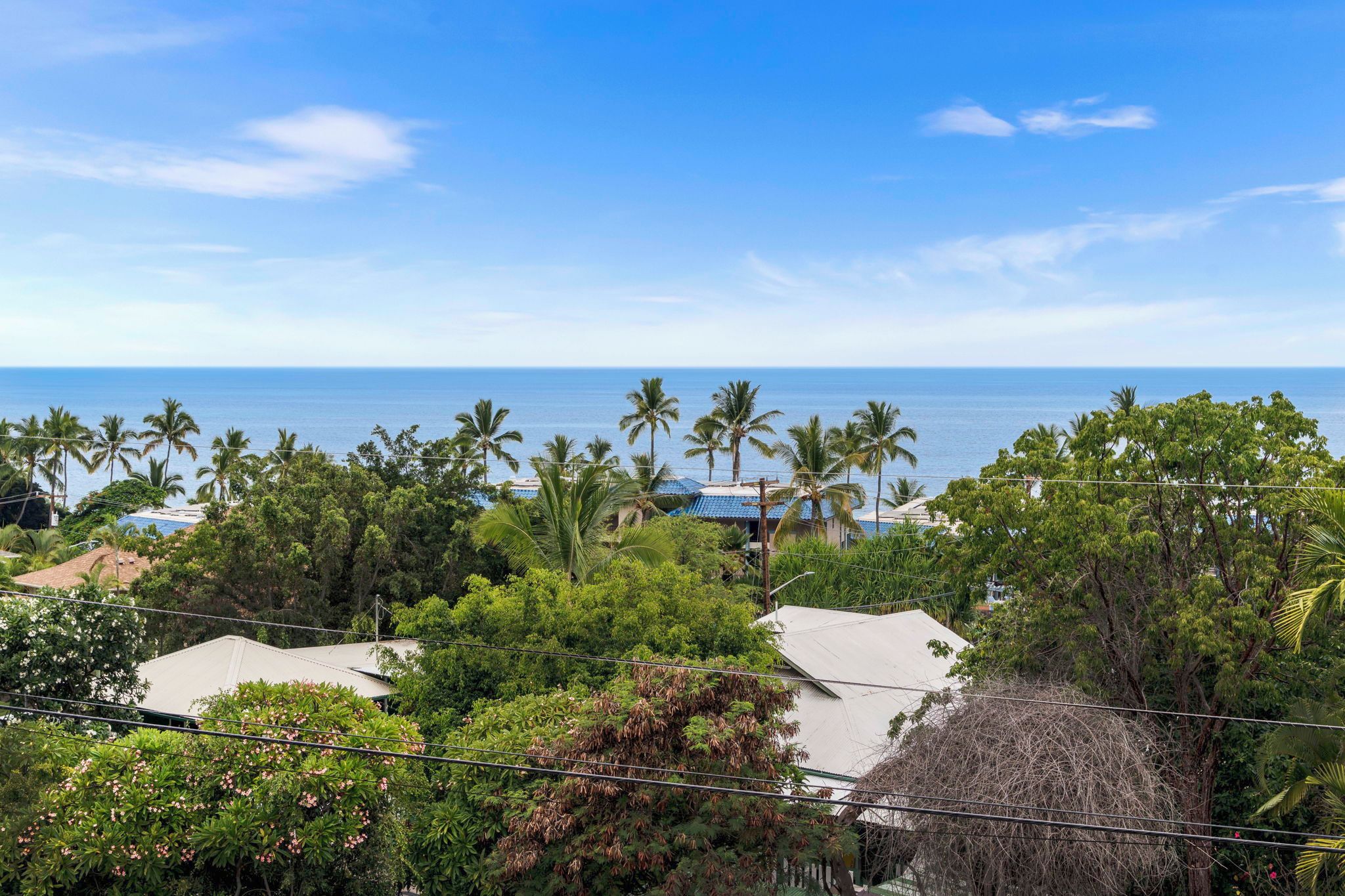 A coastal view with palm trees, houses, and a clear sky.