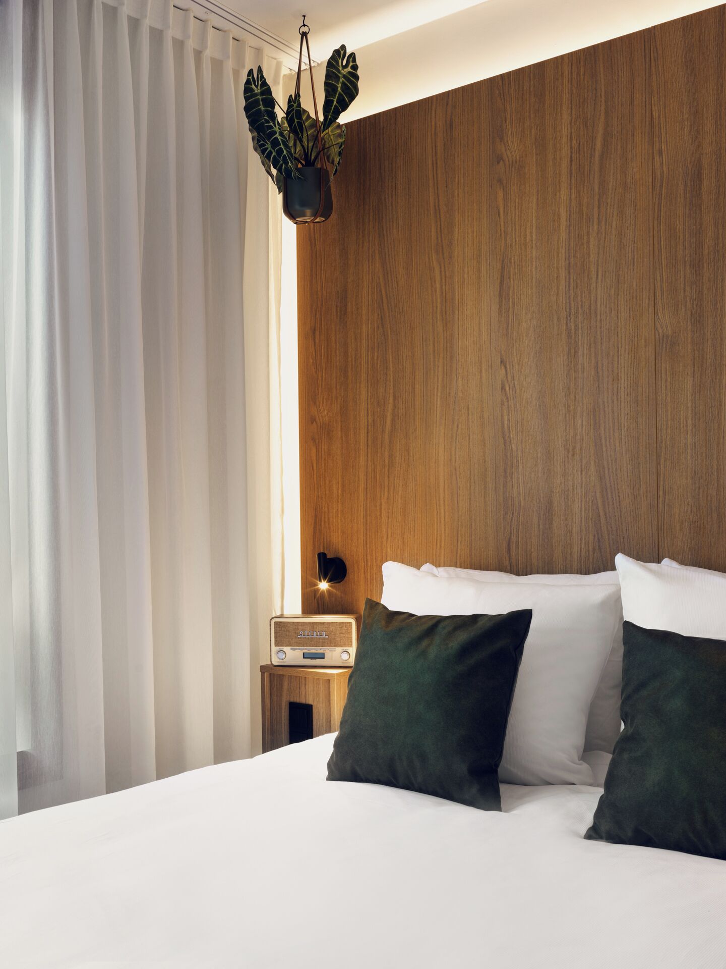 A hotel room with a wooden headboard, white bedding, a bedside table with a radio, and a hanging plant.