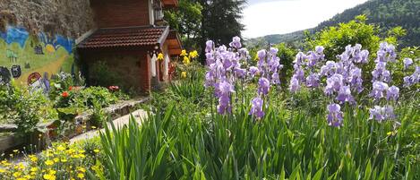 Terrein van de accommodatie