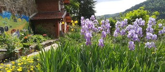 Chambre de Charme Dans une Belle Bâtisse Datant de 1885