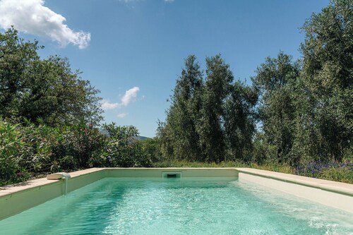 Domaine Acciola