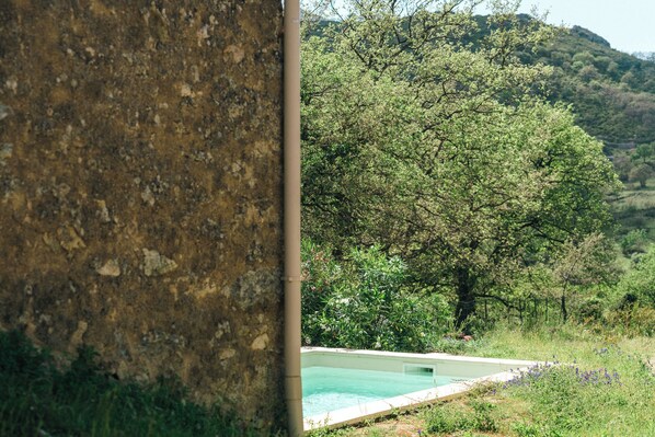 A swimming pool surrounded by lush greenery and trees.