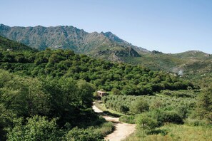A rural landscape with a dirt path leading to a stone building surrounded by dense greenery and mountains in the background.