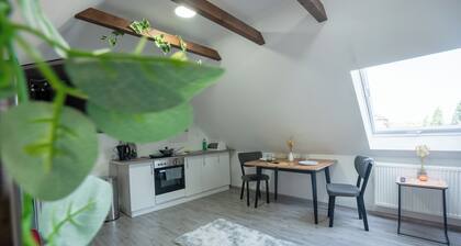 Serviceroom24 - Apartment 5 in Herten WLAN - Smart-TV - 24-7 Check-in und Küche