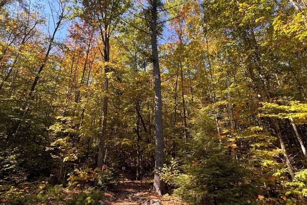 Pleasant Mountain Trail with forest paths and stunning mountain views.