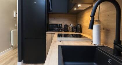 New Apartment Boston - Center/Comfort/Wi-Fi