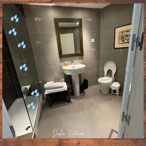 Regadera, secadora de cabello, bidet, toallas