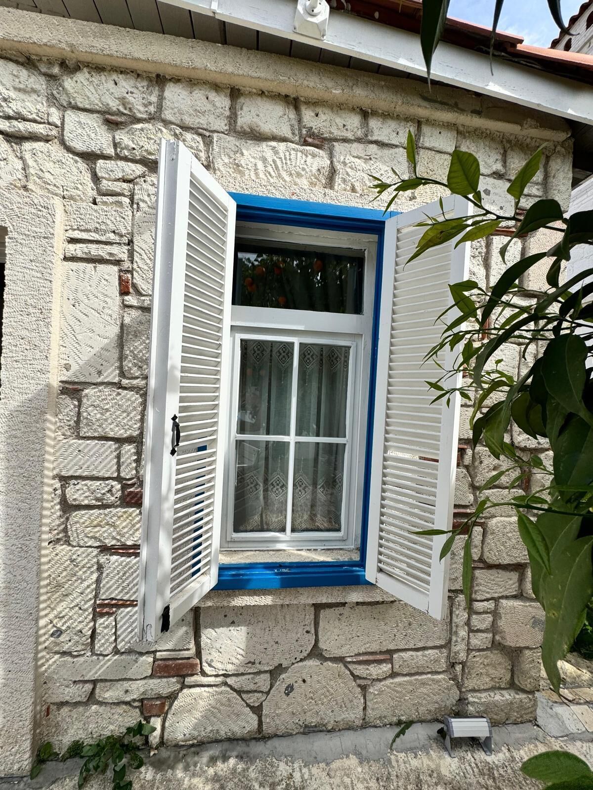 Superior Room, Garden View