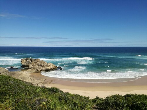 Experience Nature at Brenton on Sea With Breakers Dolphins and Whales
