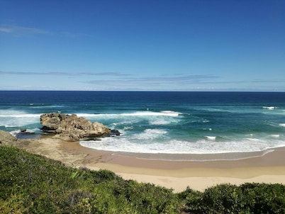 Experience Nature at Brenton on Sea With Breakers Dolphins and Whales