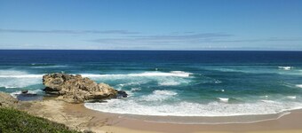 Experience Nature at Brenton on Sea With Breakers Dolphins and Whales