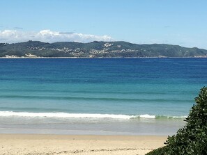 Beach - Experience Nature at Brenton on Sea With Breakers Dolphins and Whales (Knysna)