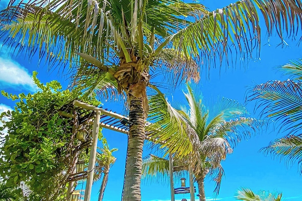Jardín