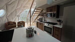 A modern kitchen with a central island, stainless steel appliances, and a view through a geometric window structure. - Löyly Luxury Dome, Hot Tub, Sauna, Plunge, King, Queen, Kitchen, Sleeps 4, N. MI (Benzonia)