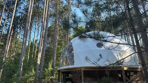 A dome-shaped structure in a forest, with a circular window and a wooden base. - Löyly Luxury Dome, Hot Tub, Sauna, Plunge, King, Queen, Kitchen, Sleeps 4, N. MI (Benzonia)