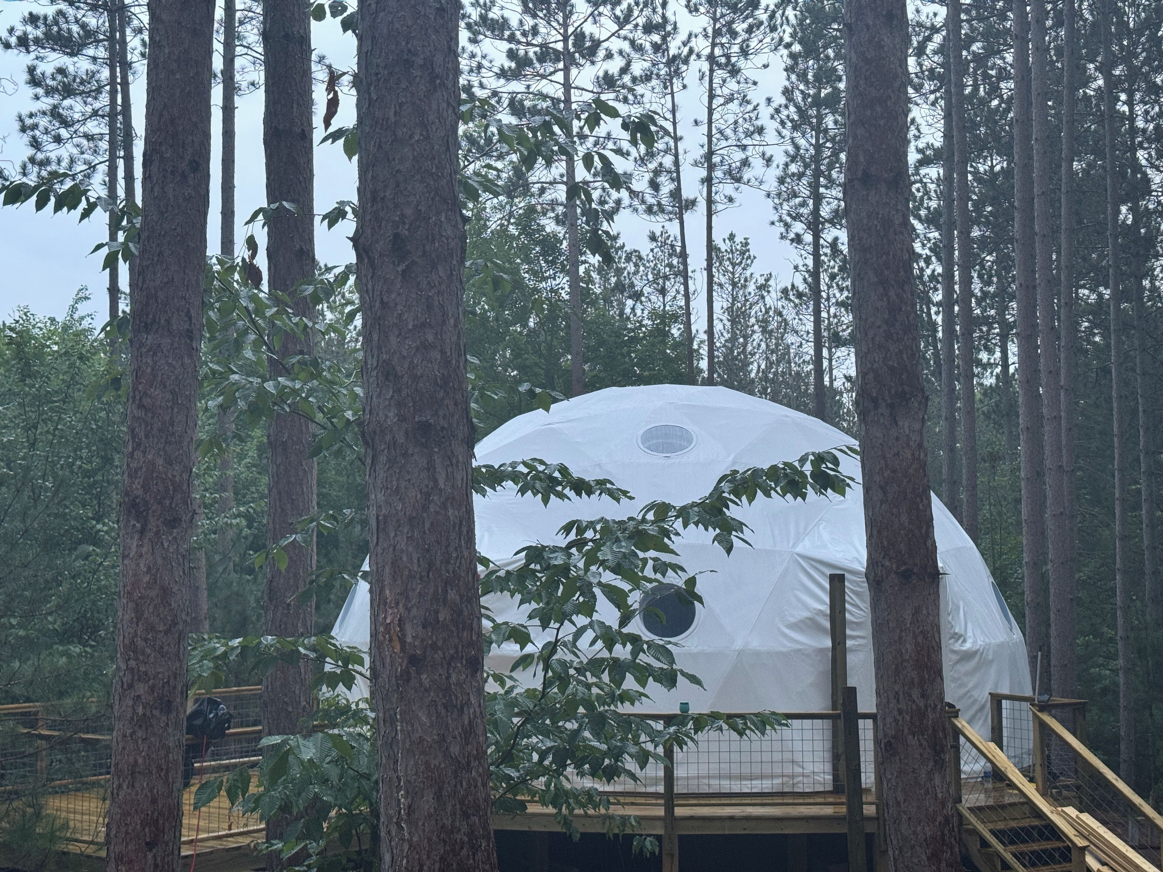 En kupolformad konstruktion i en skog, omgiven av höga träd.