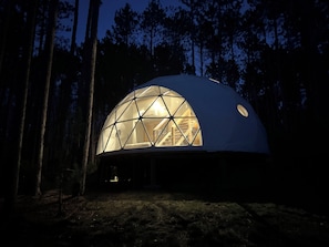Exterior - Löyly Luxury Dome, Hot Tub, Sauna, Plunge, King, Queen, Kitchen, Sleeps 4, N. MI (Benzonia)