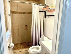 Hair dryer, towels, soap, shampoo - Relaxing Pool Home / 6PPL / Spa (Tampa)