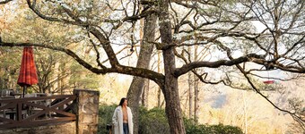 Snowbird Mountain Lodge