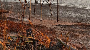 A beachside wooden structure with a metal railing, overlooking the sea.