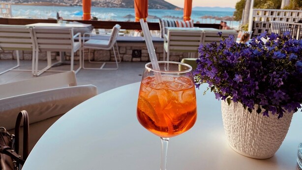 A table with a drink, a potted plant, and a view of the sea.