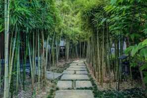 A bamboo-lined pathway with stone steps. - Xianting Inn (Liyang)