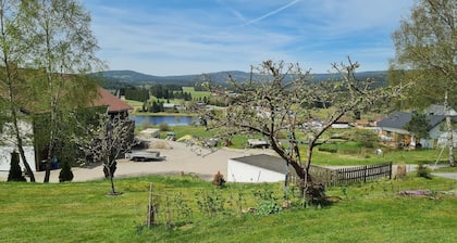 Appartement de vacances HaidmĂŒhle pour 1 - 3 personnes avec 1 chambre Ă coucher - Maison de vacances