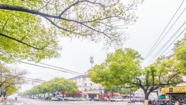 A street with trees, parked cars, and buildings. - Yindu Hotel (Pinghu)