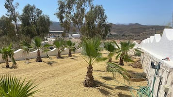 House | Property grounds