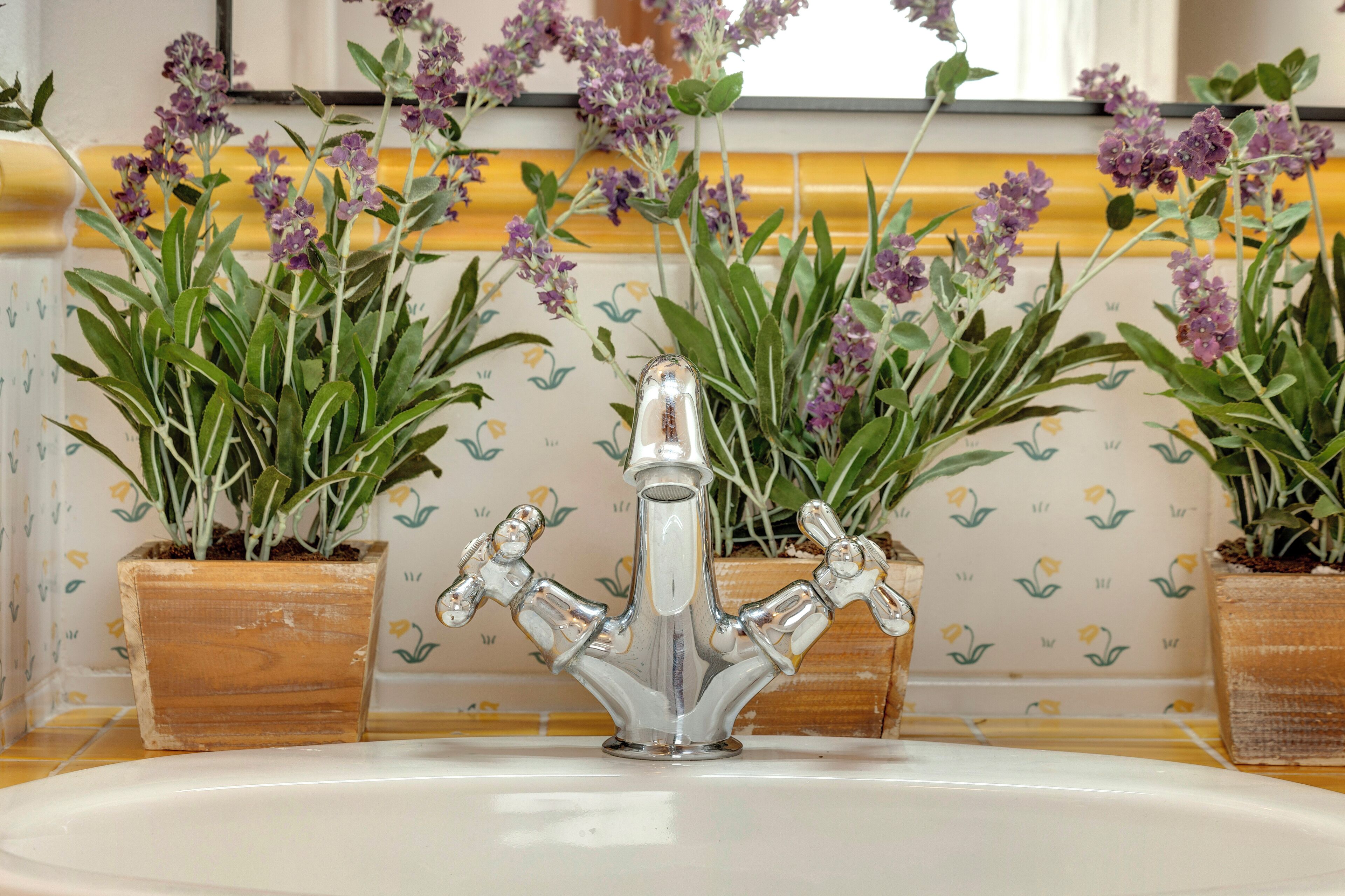 A bathroom with a sink, a mirror, and potted plants.