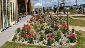 Ein Gebäude mit einer Rezeption und einem Garten mit roten Blumen.