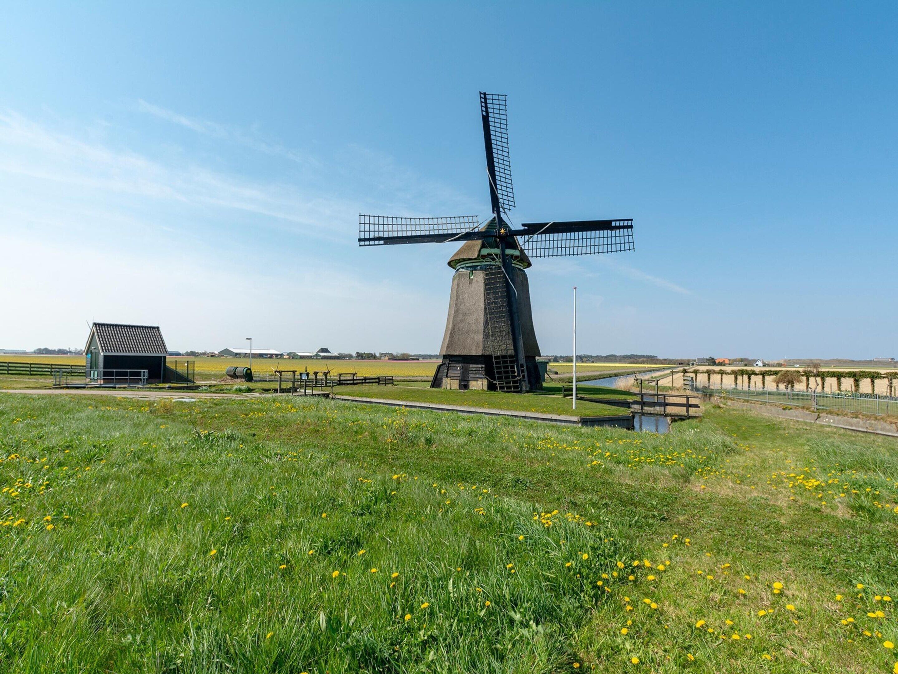Mobile Home | View from property