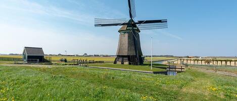 Mobile Home | View from property