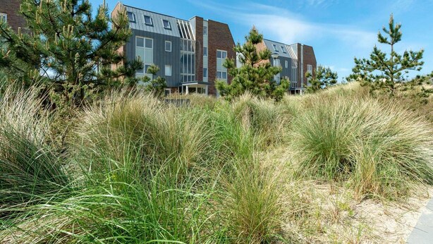 A row of modern buildings with a flat roof, surrounded by tall grasses and sparse trees. - Apartment Near Groote Keeten Beach (Callantsoog)