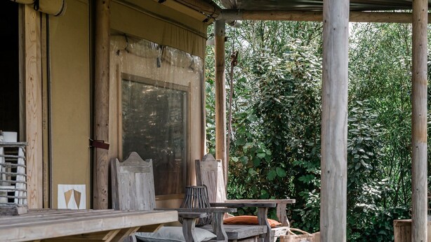 A wooden deck with a table and benches, surrounded by greenery. - Beach Lodge Callantsoog Near the Sea (Callantsoog)