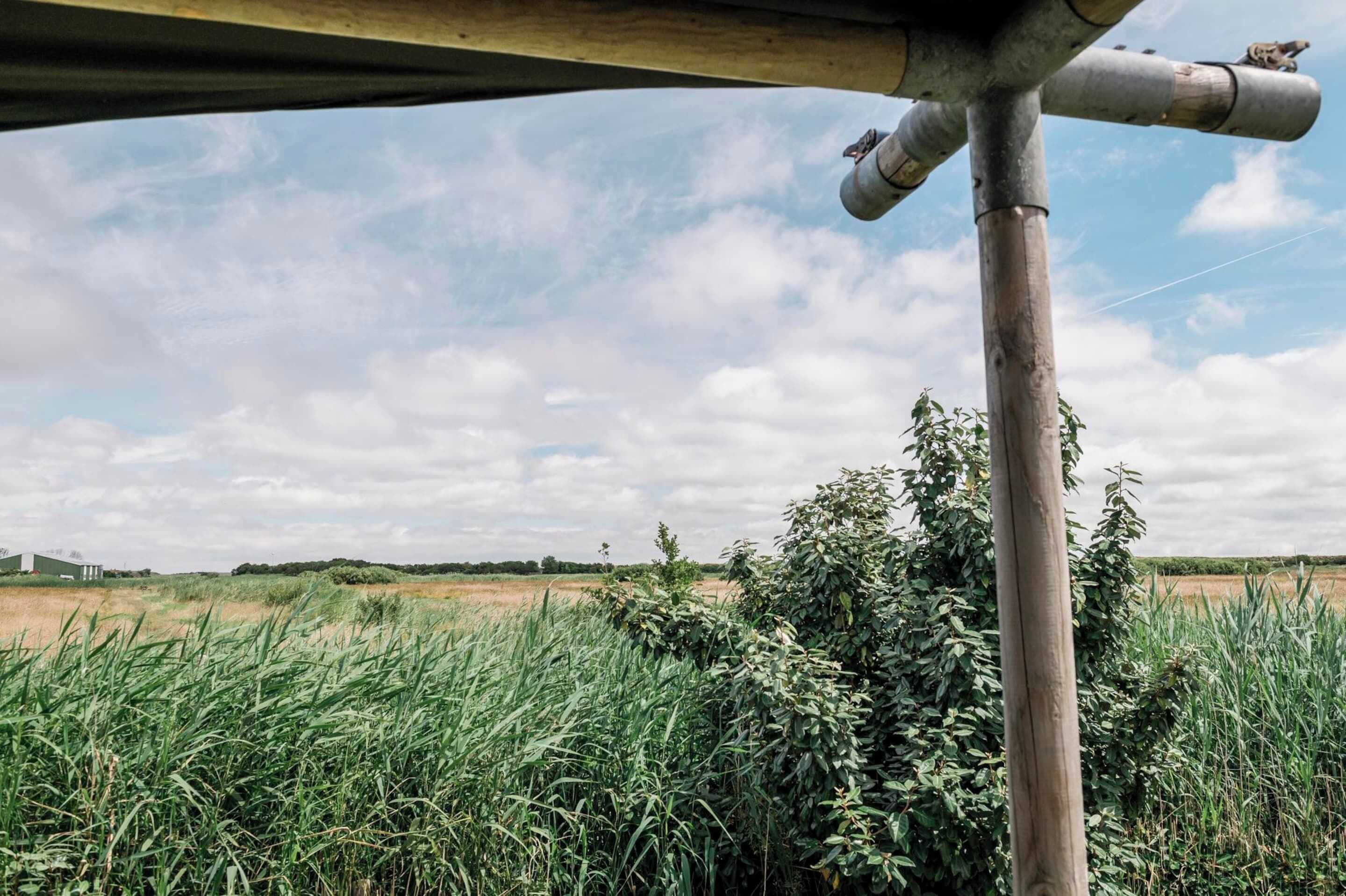 A rural landscape with a metal structure and a field of tall grass.
