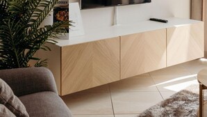 A modern living room with a white TV stand, a remote control, and a plant. - Comfortable 2-guest De Vlijt First Class Suite (De Cocksdorp)
