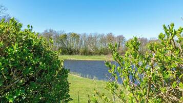 Bungalow | Quang cảnh nhìn từ nơi lưu trú